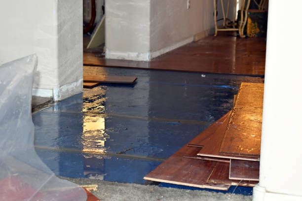 Professional Flood Cleanup technician working in Franklin, MI